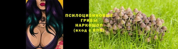 эйфоретик Ладушкин
