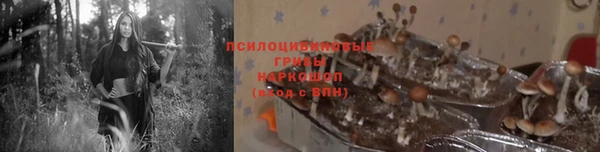 молекула духа Лагань