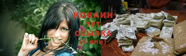 молекула духа Лагань