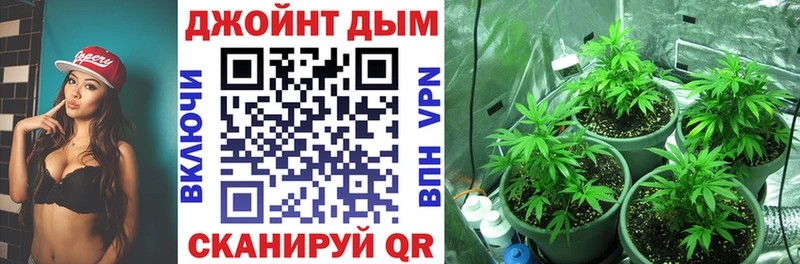 Купить закладки  Арамиль  Конопля тримм 